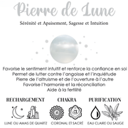 Bague Vintage avec Pierre de Lune - Halo Envoûtant | Bijoux Chakra