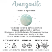 Bague d'Argent en Amazonite - Tranquillité Boréale | Bijoux Chakra