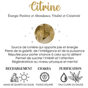 Éblouissantes Boucles d'Oreilles Citrine - Fleur de Lumière | Bijoux Chakra